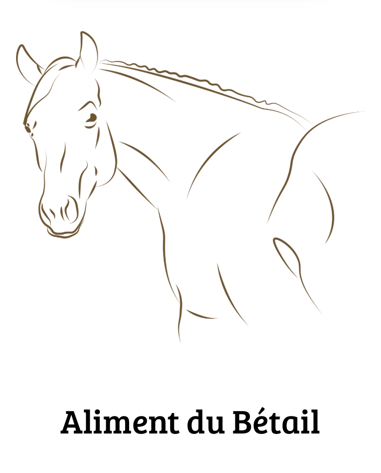 cheval